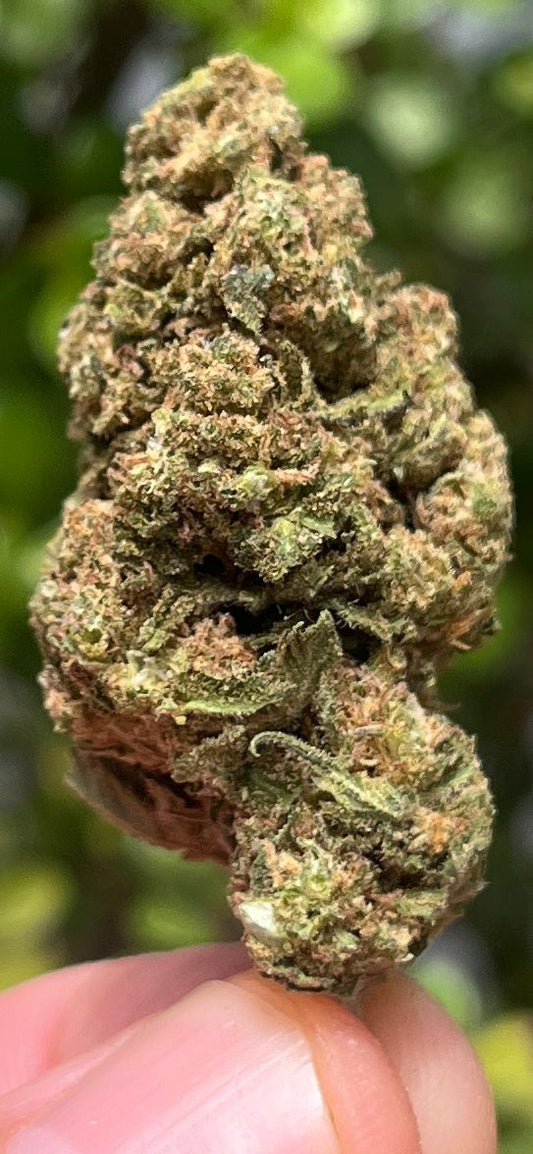 NEW!!! Premium Super Sour Diesel (Sativa) THC 23%CBD 0% - SuperSkyf